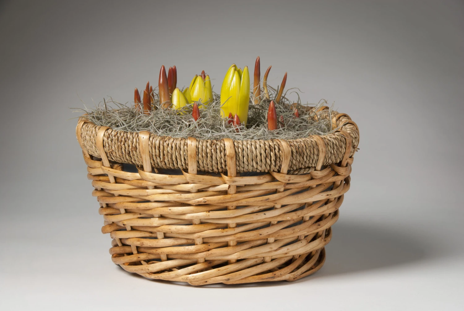 Menu Love & Adoration Potted Bulb Garden - Image 2