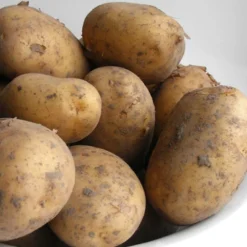 Menu Goldrush Russet Seed Potatoes