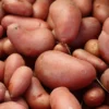Menu French Fingerling Organic Potatoes