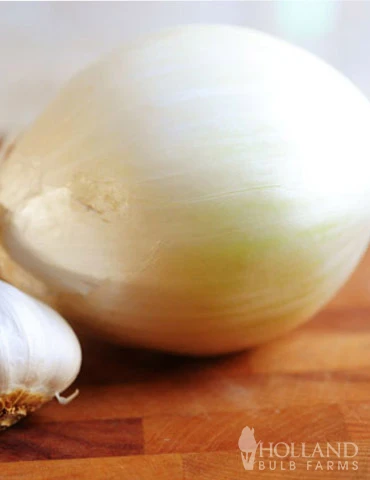 Menu Ebenezer White Onion Sets