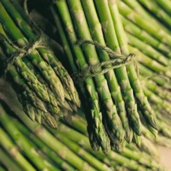 Menu Mary Washington Asparagus 2yr