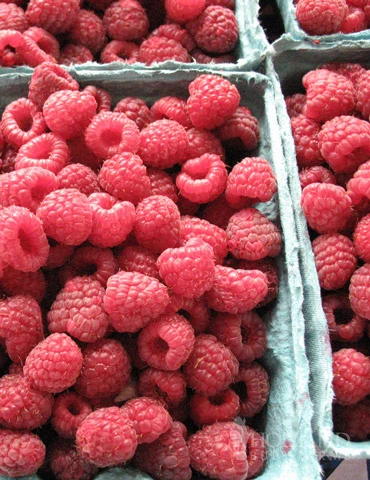 Menu Latham Red Raspberries Plant