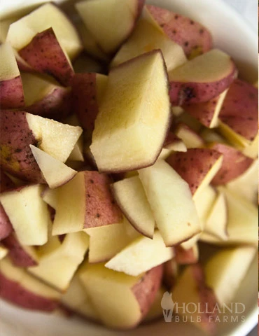 Menu Container/Small Space Vegetable Garden - Image 3