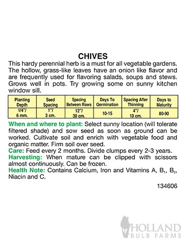 Menu Container/Small Space Vegetable Garden - Image 14