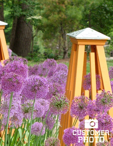 Menu Simple Late Spring Collection - Image 9