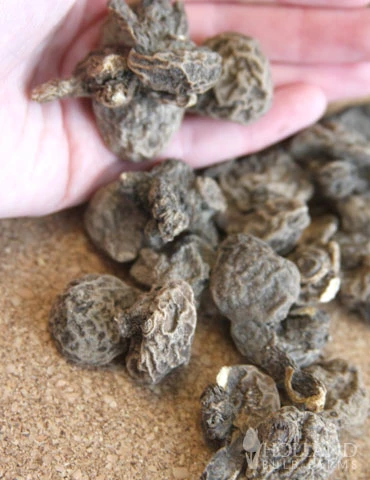 Menu Late Spring Blooms Collection - Image 15