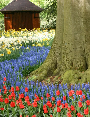 Menu Must Have Muscari Collection - Image 7