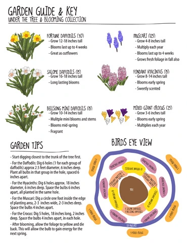 Menu Under The Tree And Blooming Collection - Image 2