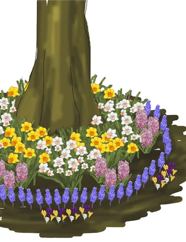 Menu Under The Tree And Blooming Collection - Image 3