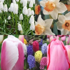 Menu Border Of Blooms Collection