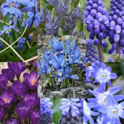 Menu River Of Blue Garden Collection