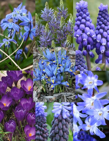 Menu River Of Blue Garden Collection