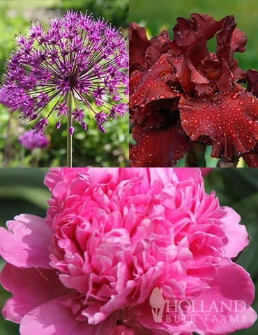 Menu Simple Late Spring Collection