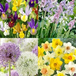 Menu Simple Deer Resistant Garden Collection