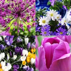 Menu Simple Spring Flowers Garden Collection