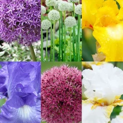 Menu Late Spring Spectacular Garden