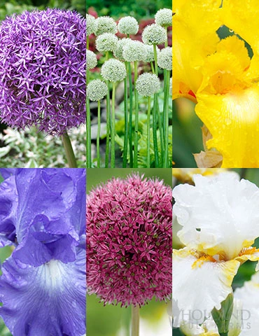 Menu Late Spring Spectacular Garden