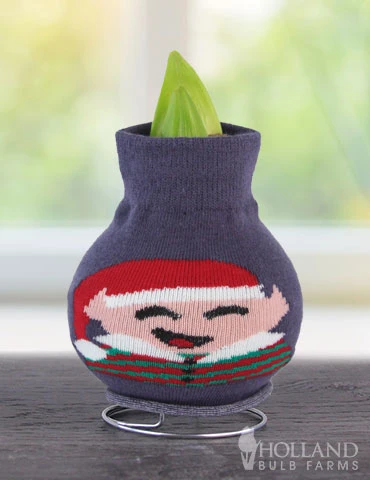 Menu Santa's Buddy Sweater Amaryllis - Image 2