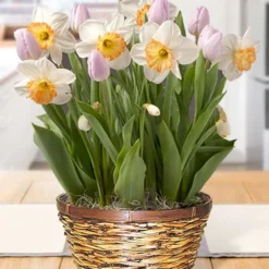 Menu Pastel Skies Potted Bulb Garden