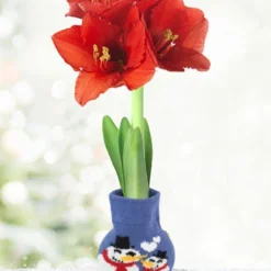 Menu Frosty And Friends Sweater Amaryllis