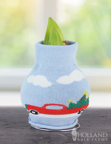 Menu Holiday Road Sweater Amaryllis - Image 2