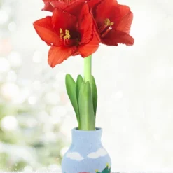 Menu Holiday Road Sweater Amaryllis